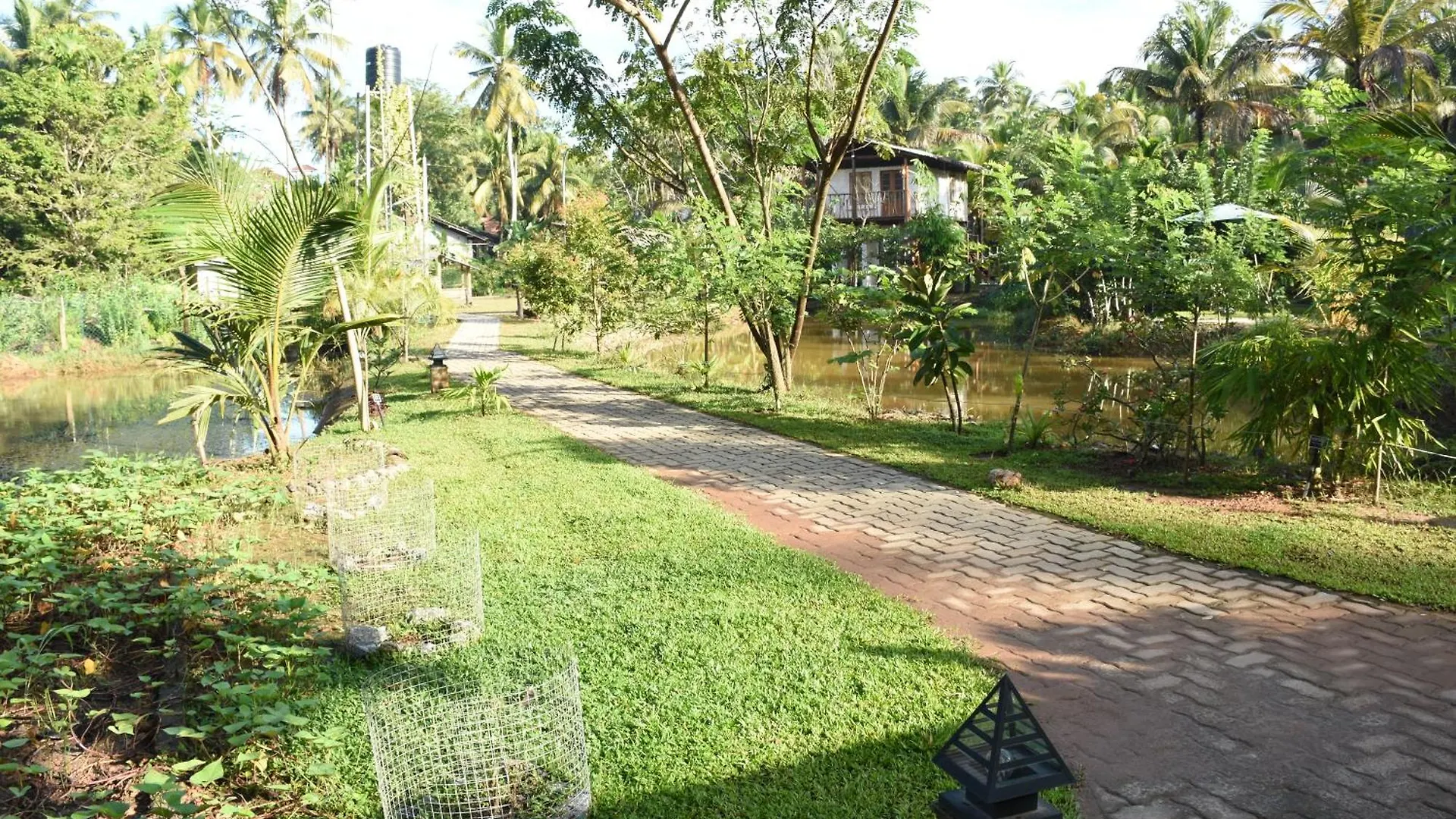 Steps Garden Resort Negombo