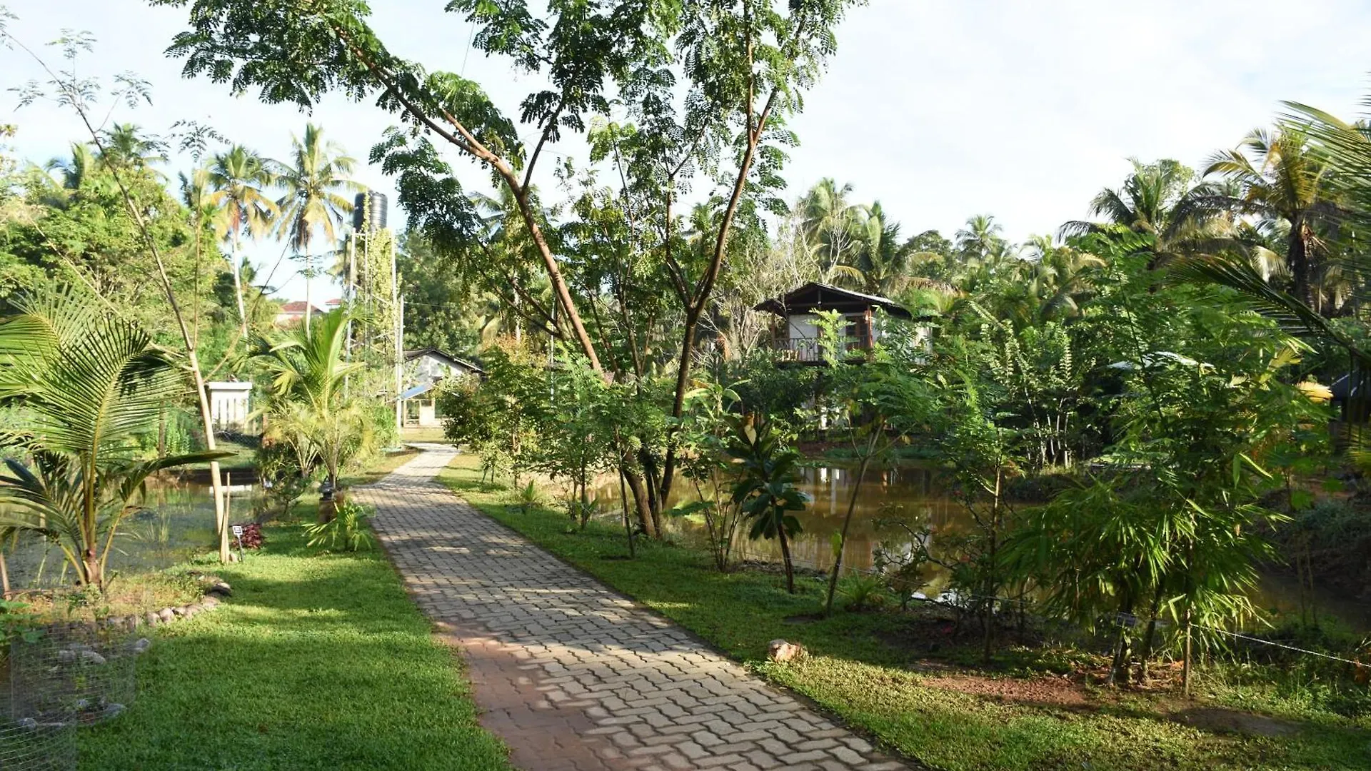 Steps Garden Resort Negombo 3*,  Sri Lanka
