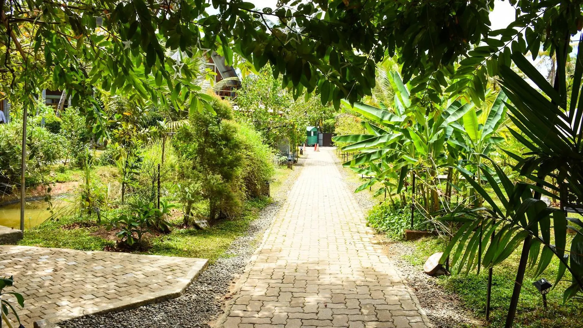 Steps Garden Resort Negombo Hotel